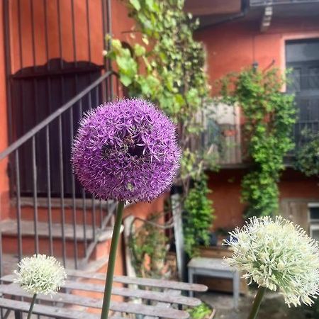 Come A Casa Castelletto sopra Ticino Luaran gambar